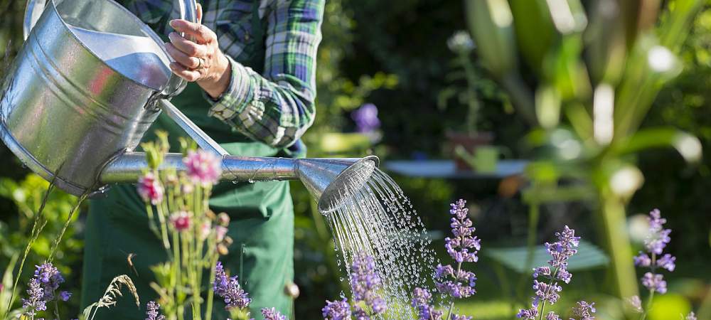<p>Garten bewässern</p> 
- © Shutterstock