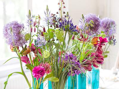 Sommerdekoration - Shutterstock