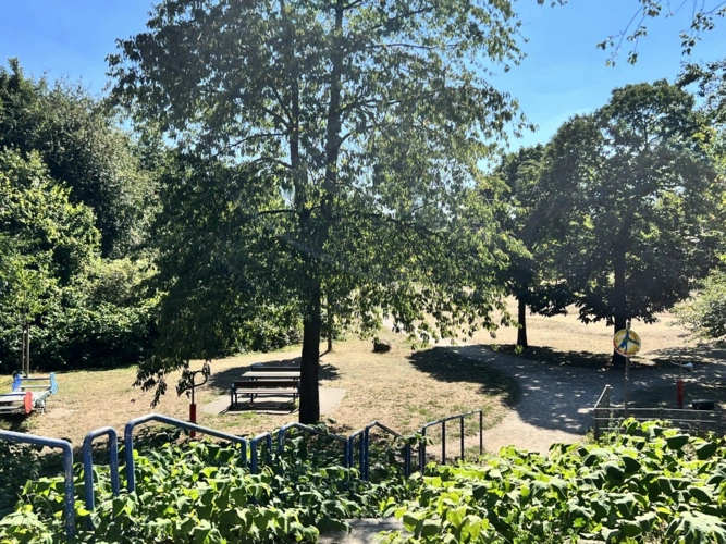 Blick in den Park