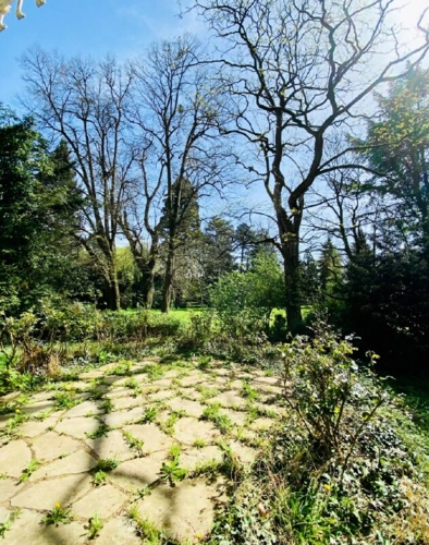 Terrasse mit Blick in den Garten