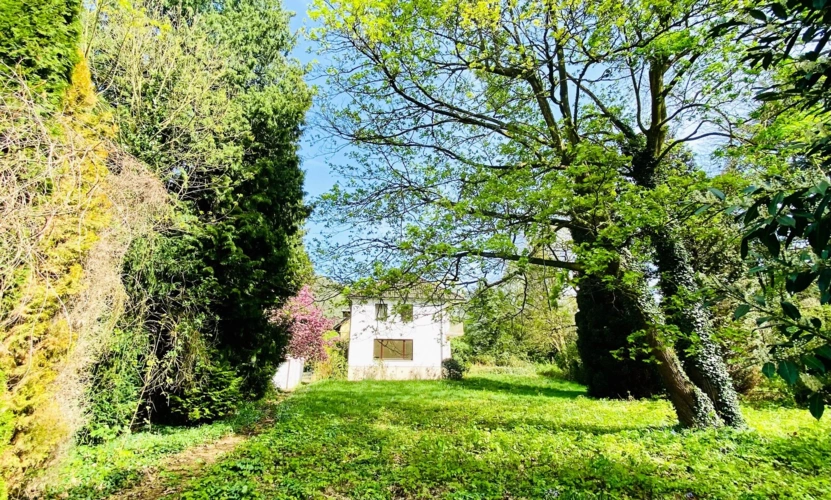 Garten