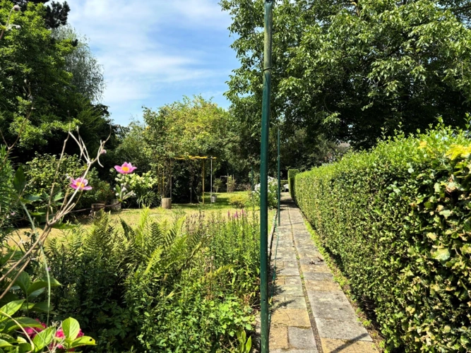 Garten Mitte Hecke Weg