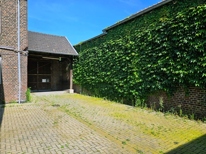 Bild7