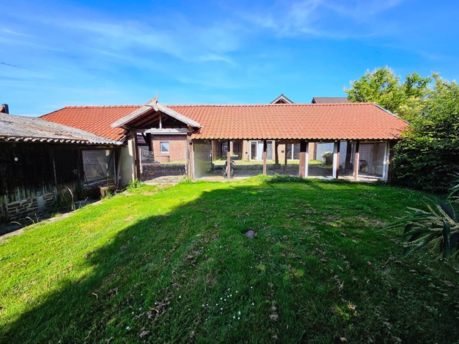 Bild6