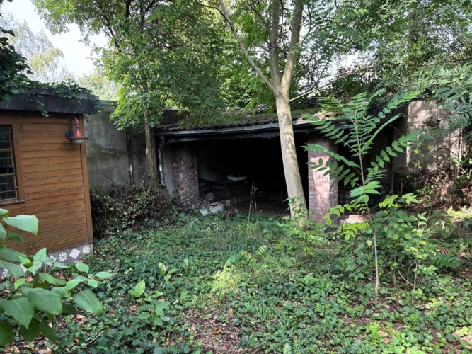 Garten hinten