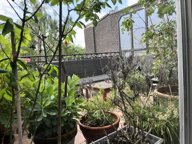 2. OG Dachterrasse