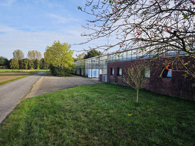 Bild11
