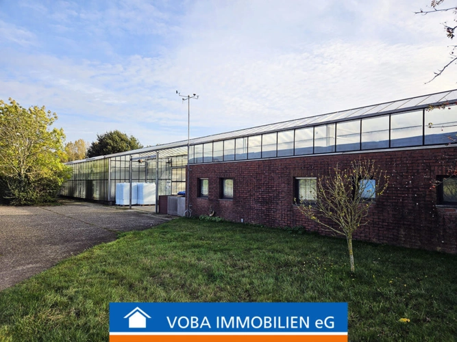 Bild1