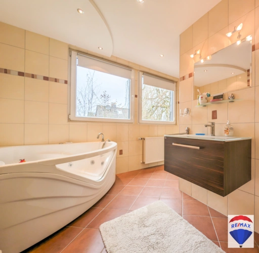 Remax-100