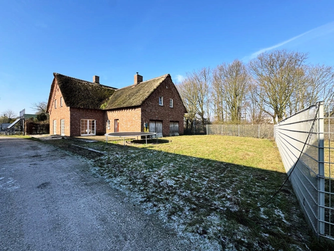 Bild25