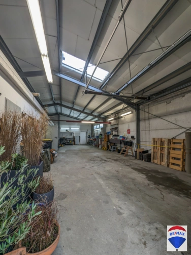 PXL_20231216_062409262