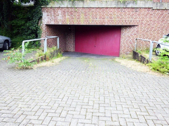 Bild19