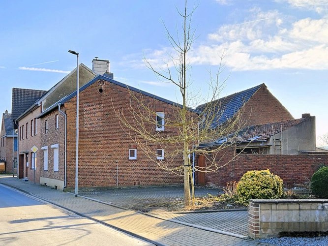 Bild7