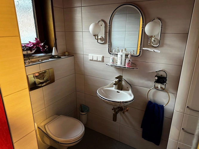 EG Gäste-WC Dusche