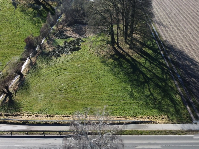 Wiese gegenüberliegend
