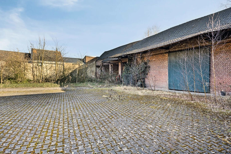 Bild8