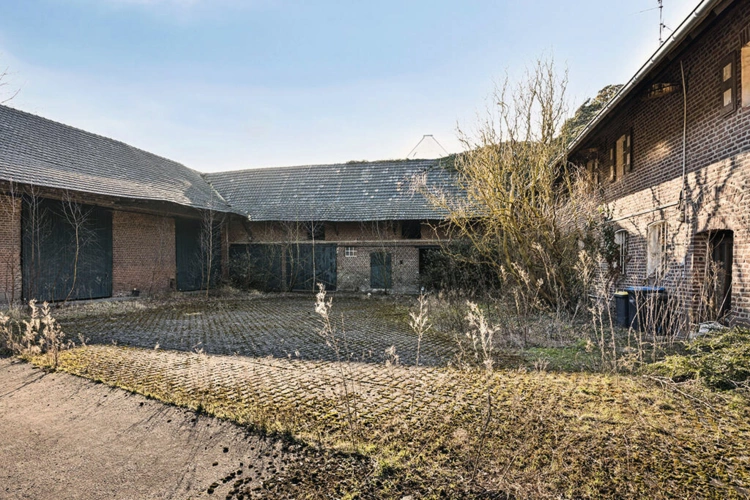 Bild6