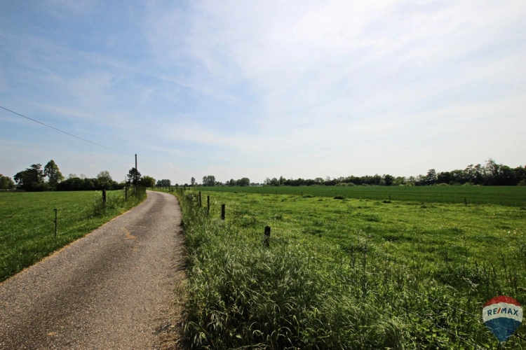 Landschaft