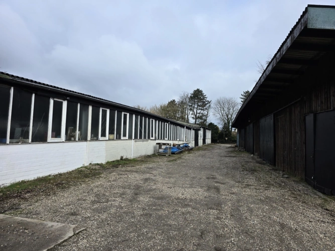 Halle Seitenansicht