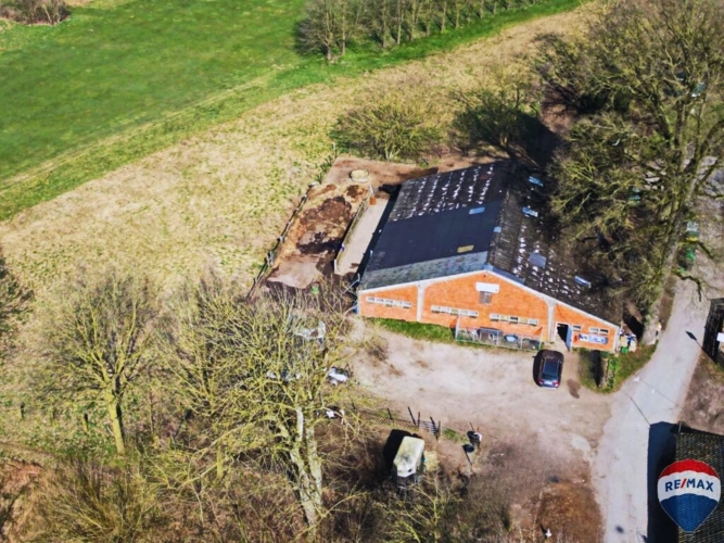 Golfplatz und Weidefläche