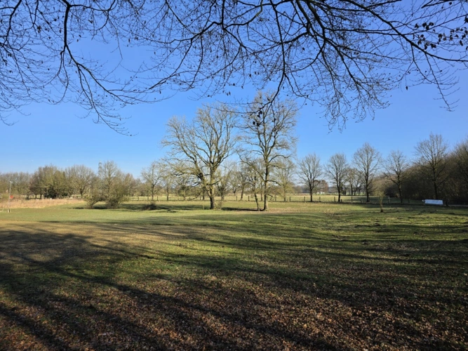 Grünland und Golfplatz
