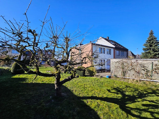 Bild6