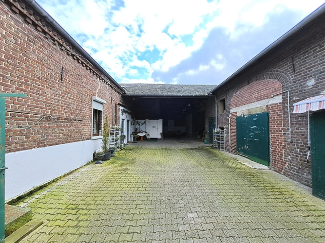 Bild6