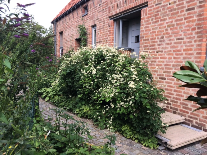 Eingang im Sommer