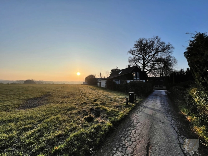 Ausblick