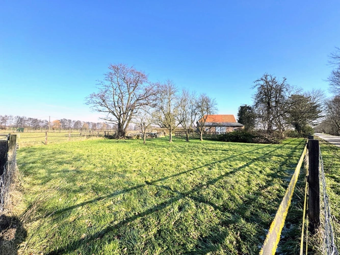 Bild10
