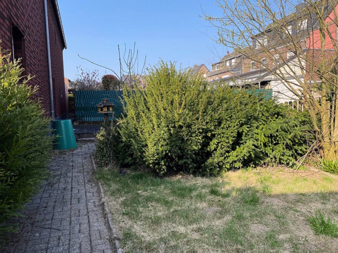 Bild8