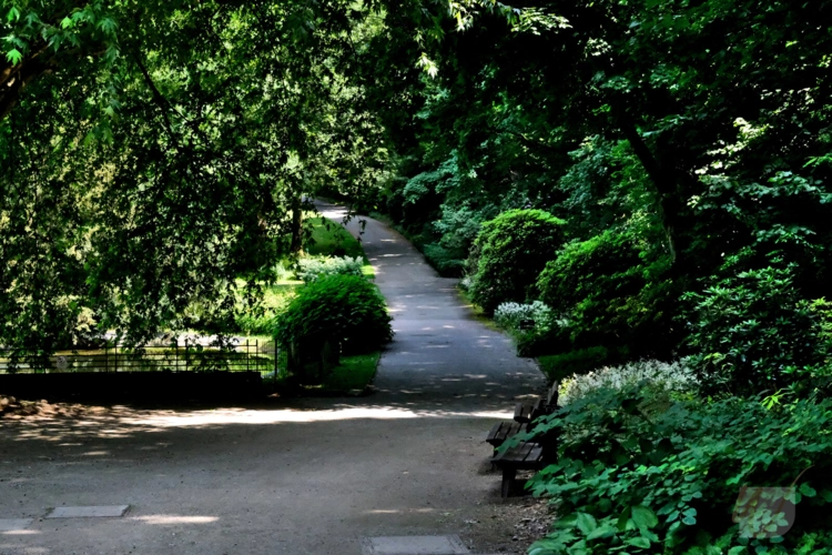 Botanischer Garten