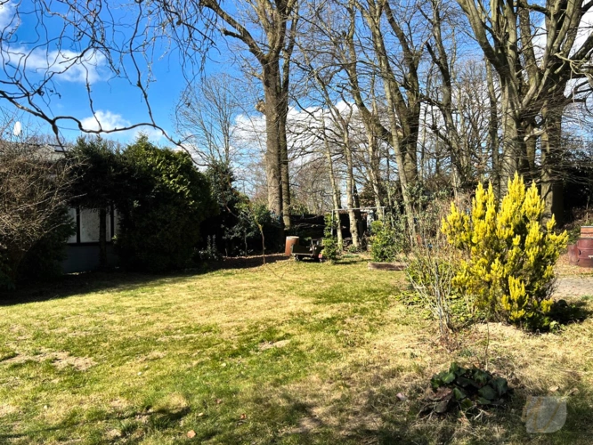 14 - Garten