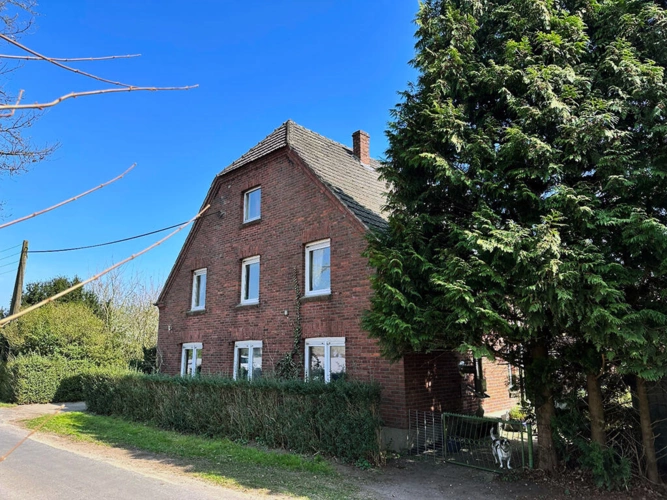 Bild4