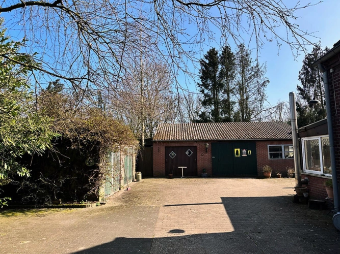 Bild5