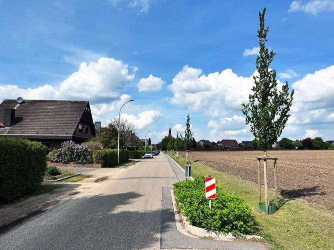 Bild9