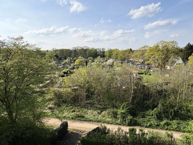 Ausblick