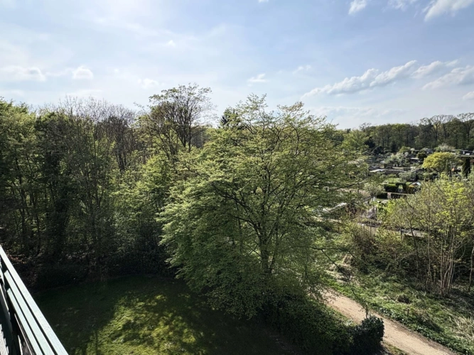 Ausblick