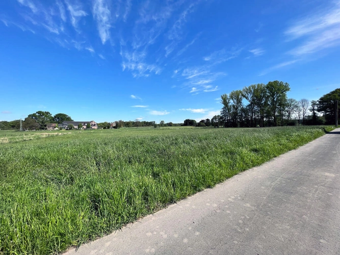 Bild12