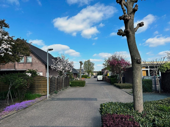 Bild14