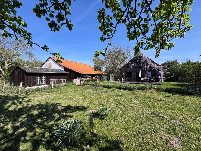 Bild5