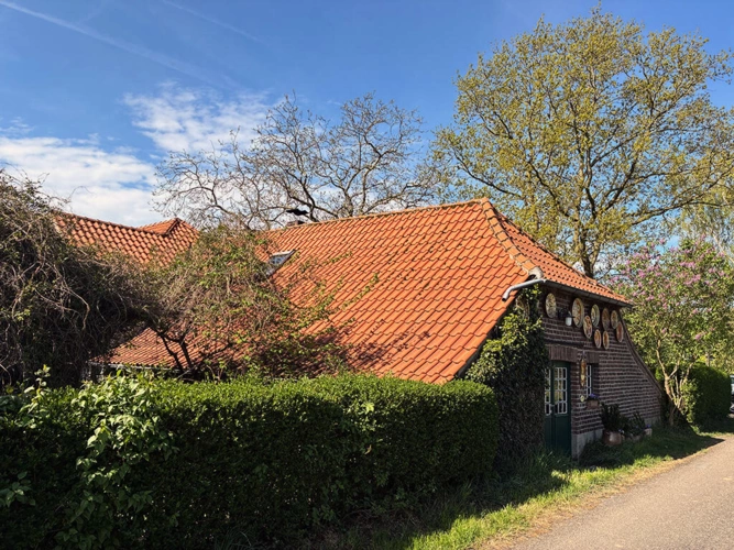 Bild6
