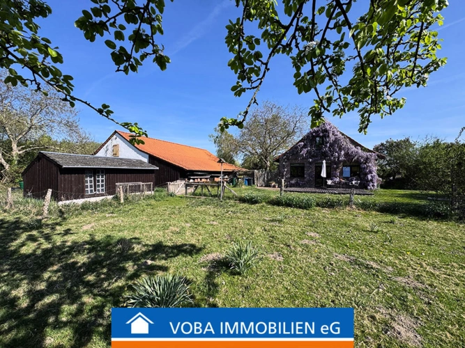Bild1