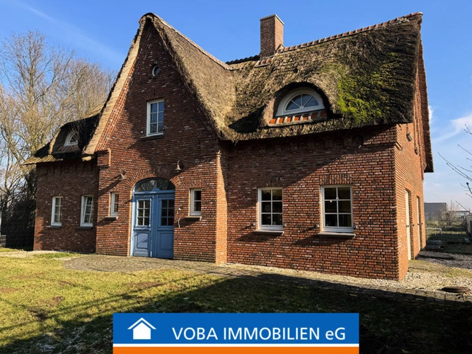Bild1