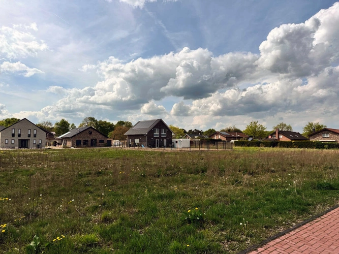 Bild5