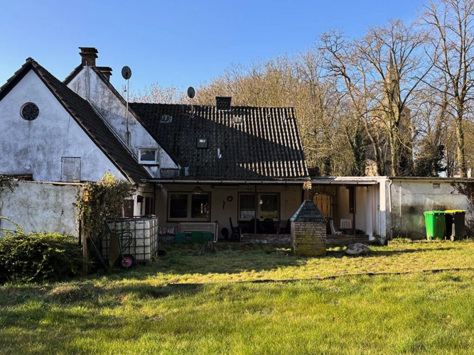 Bild5