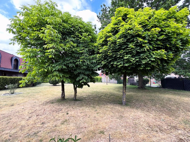 Bild6