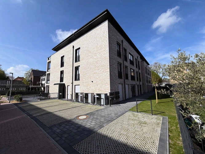 Bild6