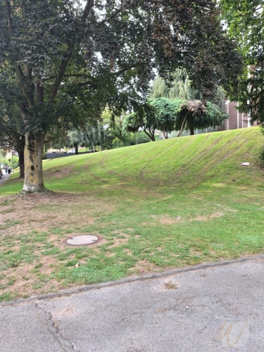 6-Park