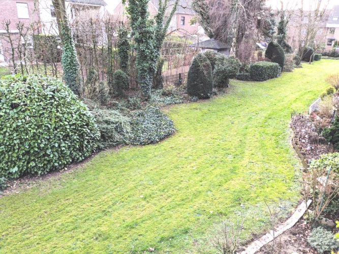 Blick ins Grüne